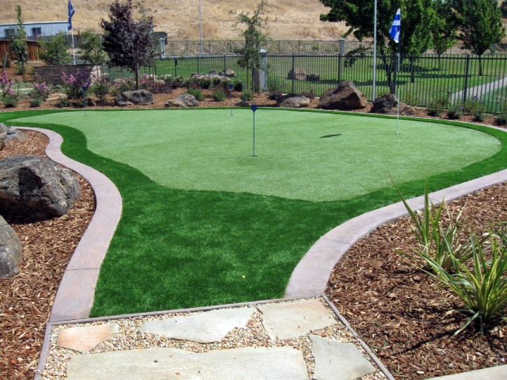 Grass Carpet Millcreek, Utah Golf Green, Backyard Landscape Ideas