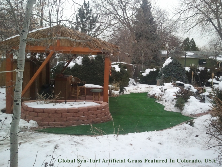 Grass Carpet Roy, Utah Landscape Ideas, Backyard Design