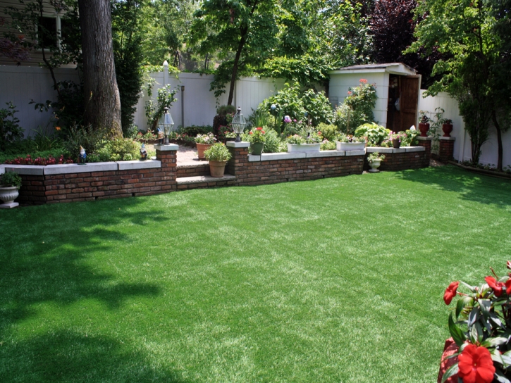 Grass Carpet Woodland, Utah Landscape Photos, Backyards