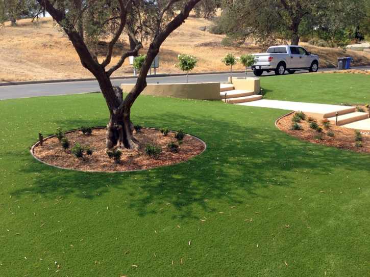 Grass Turf Echo, Utah Lawns, Front Yard Landscape Ideas