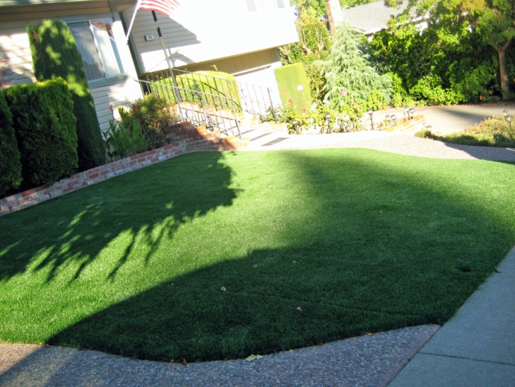 Grass Turf Fairview, Utah Rooftop, Front Yard