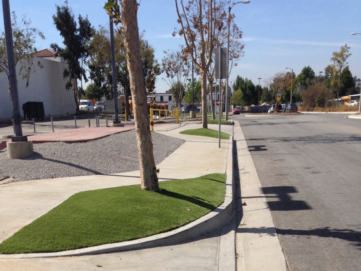 Grass Turf Holden, Utah Landscape Photos, Commercial Landscape