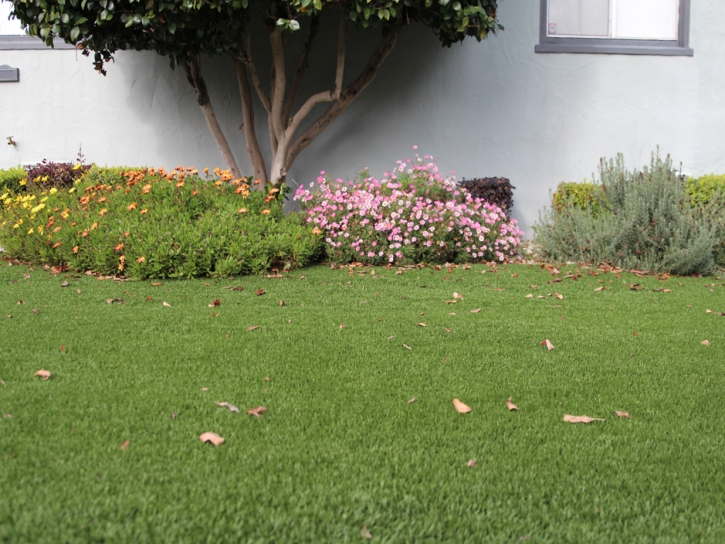 Grass Turf Maeser, Utah Lawns, Front Yard