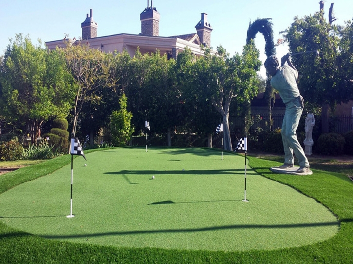 Grass Turf Oquirrh, Utah Outdoor Putting Green, Backyard Landscape Ideas