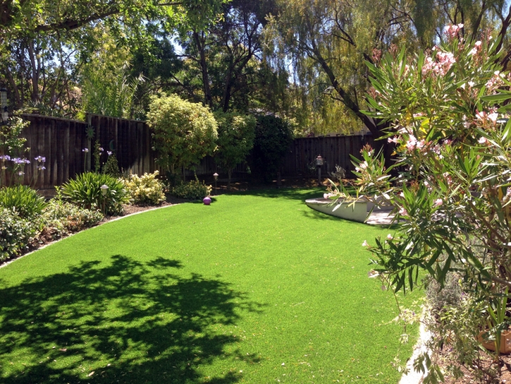 Grass Turf Perry, Utah Design Ideas, Backyard Designs