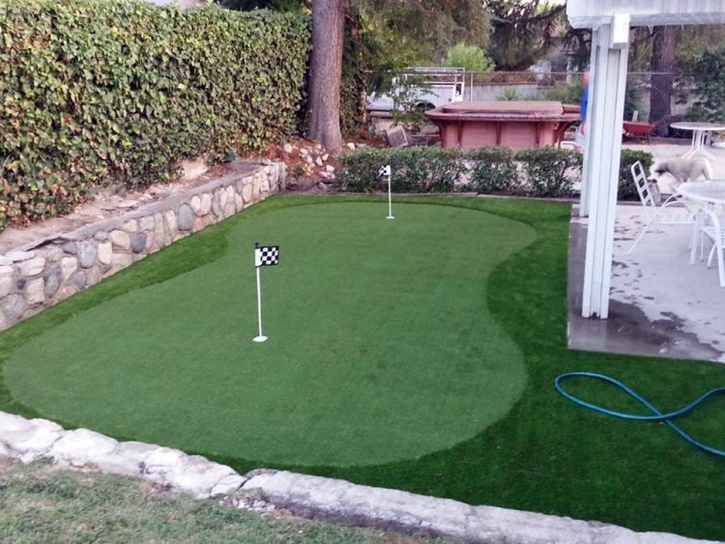 Grass Turf Willard, Utah Landscaping, Backyard Makeover