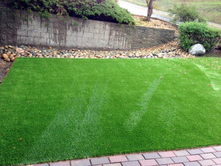 Green Lawn Copperton, Utah Fake Grass For Dogs, Backyard Design