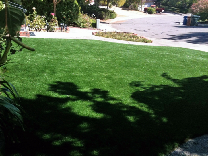 Green Lawn Goshen, Utah Garden Ideas, Small Front Yard Landscaping