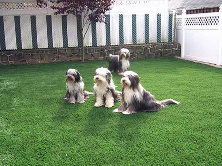 Installing Artificial Grass Enterprise, Utah Backyard Deck Ideas, Small Backyard Ideas