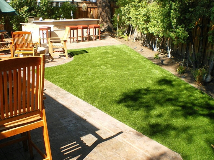 Lawn Services Parowan, Utah Pet Grass, Backyard