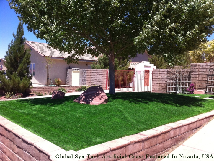 Outdoor Carpet Lehi, Utah Roof Top, Front Yard