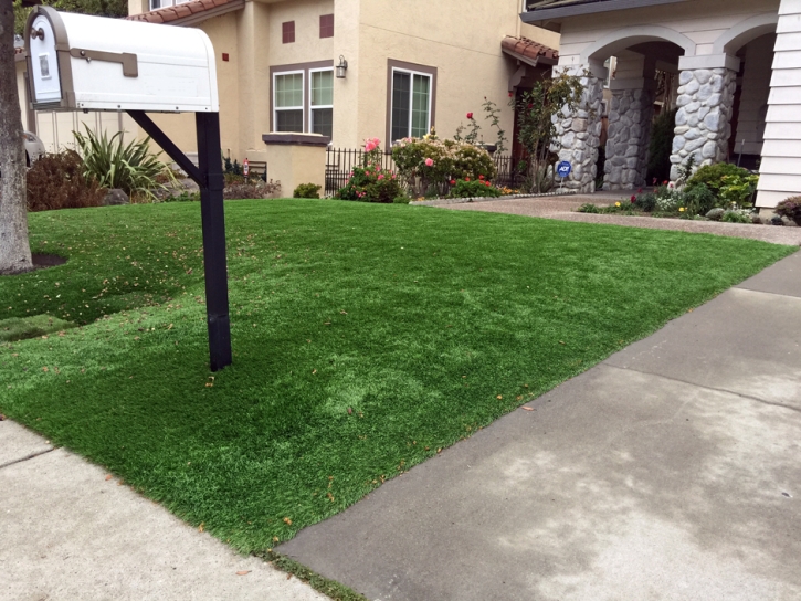 Outdoor Carpet Snowville, Utah Landscape Ideas, Front Yard Landscape Ideas