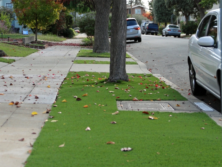 Outdoor Carpet Sutherland, Utah Garden Ideas, Small Front Yard Landscaping