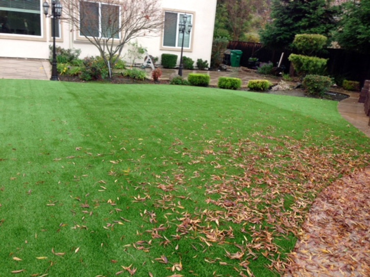 Plastic Grass Fielding, Utah Lawn And Landscape, Backyard