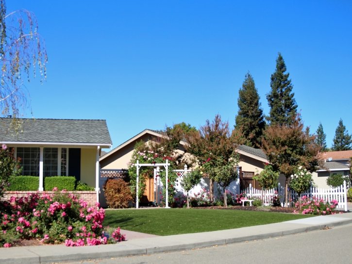 Plastic Grass Naples, Utah Home And Garden, Front Yard