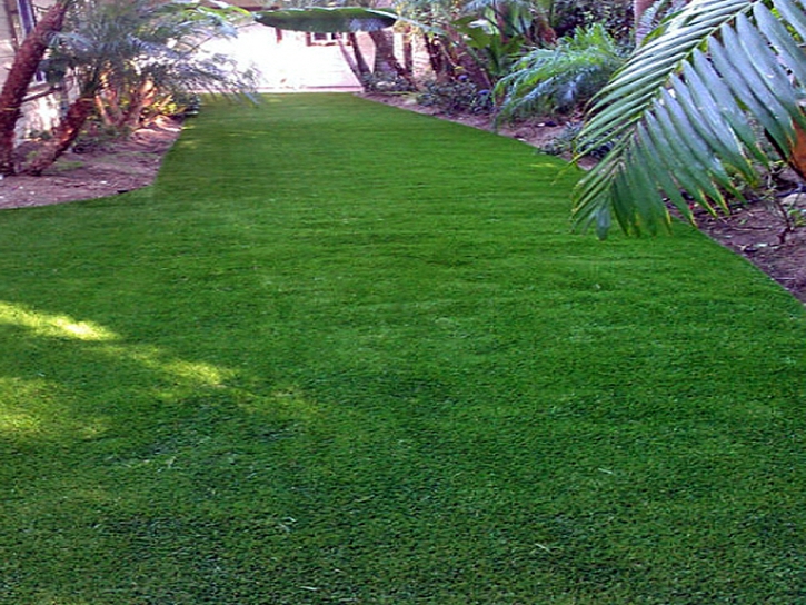 Plastic Grass Ophir, Utah Landscape Rock, Beautiful Backyards