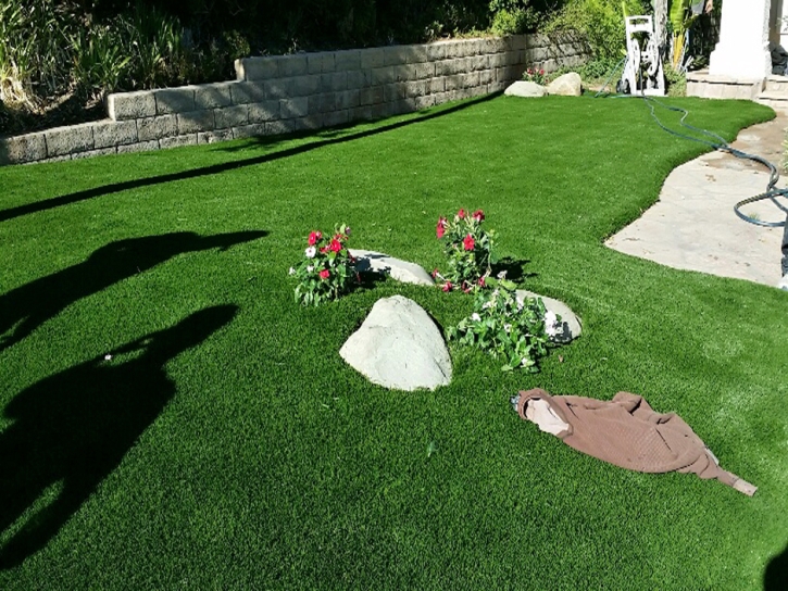 Plastic Grass Price, Utah Backyard Deck Ideas, Front Yard