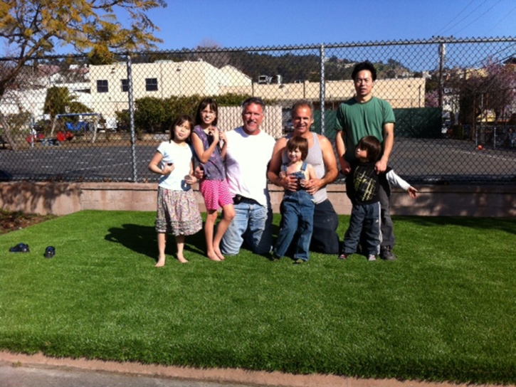 Plastic Grass Scipio, Utah Gardeners, Commercial Landscape