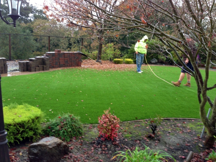 Synthetic Grass Aurora, Utah Landscape Ideas, Beautiful Backyards