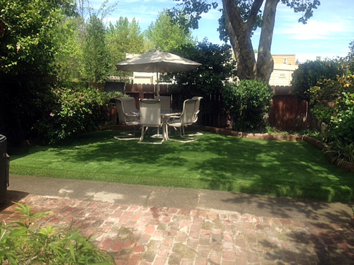 Synthetic Grass Cost Randolph, Utah Landscaping Business, Backyard Design