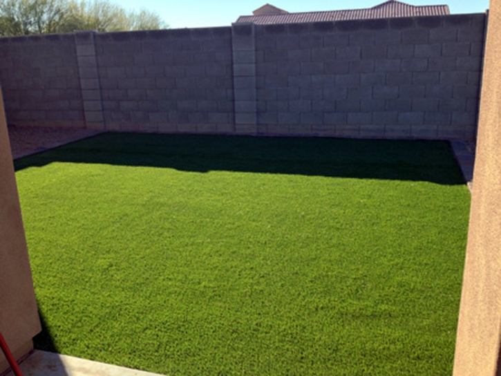 Synthetic Grass Cost Sandy City, Utah Landscape Ideas, Backyard Design