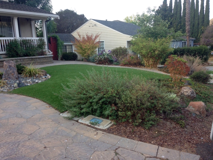 Synthetic Grass Cost Stockton, Utah Rooftop, Front Yard Landscape Ideas