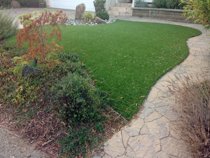 Synthetic Grass Cost Torrey, Utah Lawn And Garden, Backyard Garden Ideas