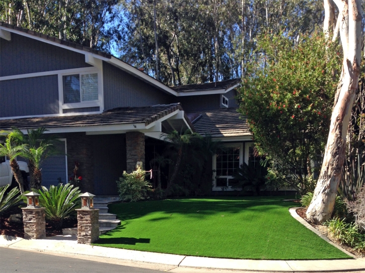 Synthetic Grass Draper, Utah City Landscape, Front Yard