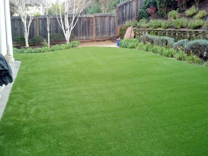 Synthetic Grass Emery, Utah Backyard Playground, Backyard Landscaping Ideas