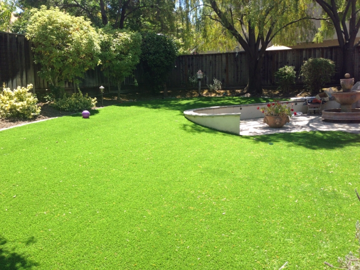 Synthetic Grass Midway, Utah Home And Garden, Backyard