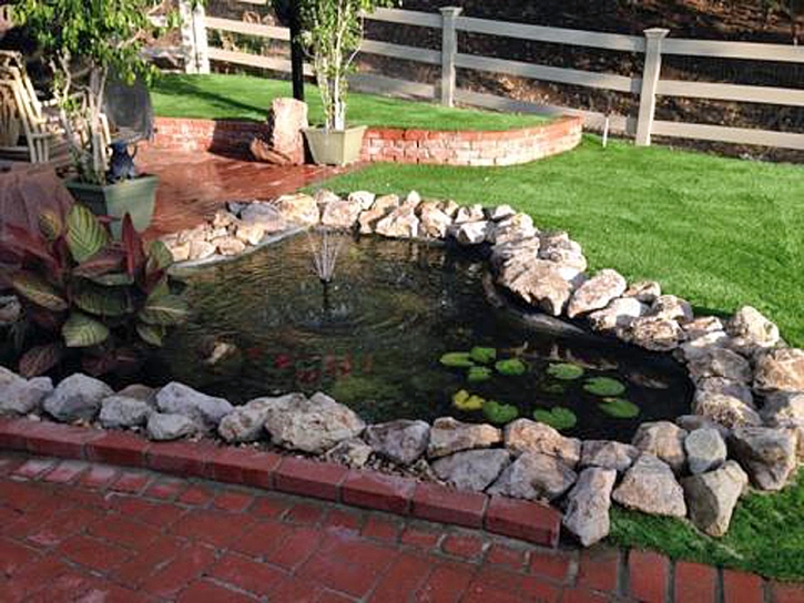 Synthetic Grass Portage, Utah Landscaping, Backyard Designs