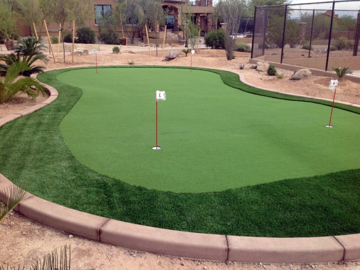 Synthetic Grass Salt Lake City, Utah Indoor Putting Green, Backyard Garden Ideas