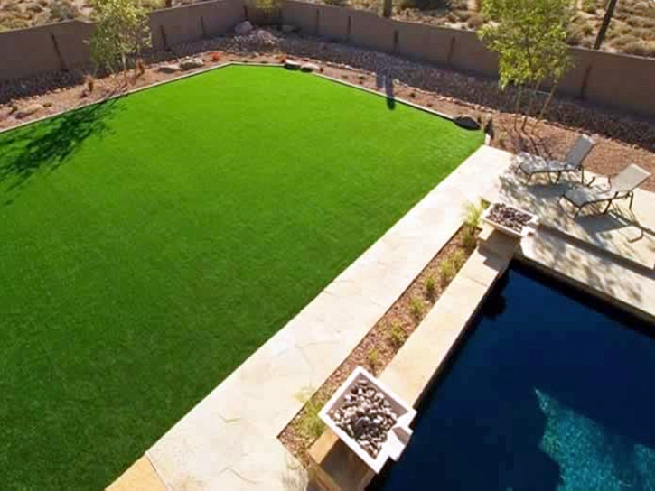 Synthetic Grass Spring Lake, Utah Landscaping, Backyard Garden Ideas