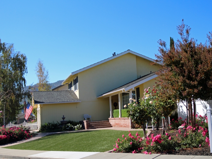 Synthetic Grass White Mesa, Utah Landscaping Business, Small Front Yard Landscaping