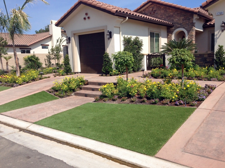 Synthetic Lawn Millville, Utah Rooftop, Front Yard Landscape Ideas