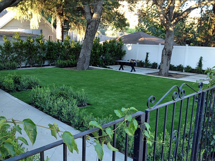 Synthetic Lawn Scofield, Utah Lawn And Garden, Landscaping Ideas For Front Yard