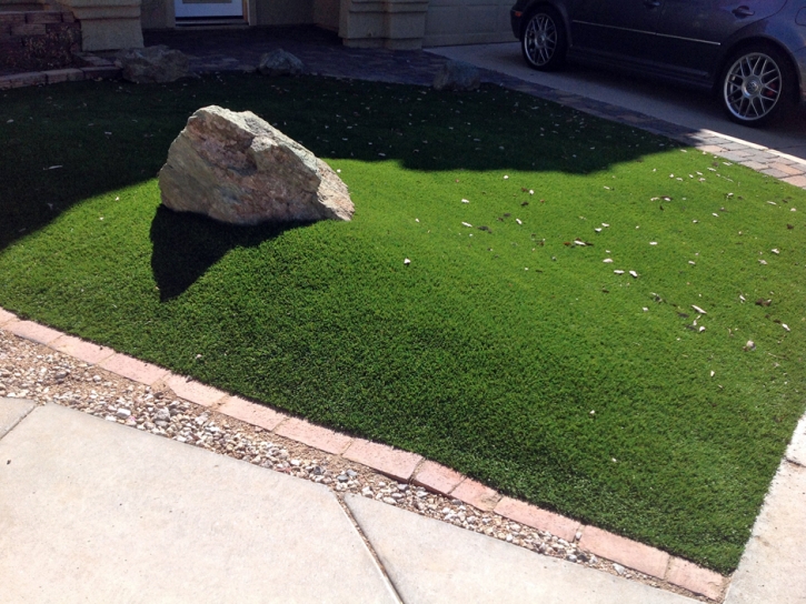 Synthetic Turf Castle Dale, Utah Garden Ideas