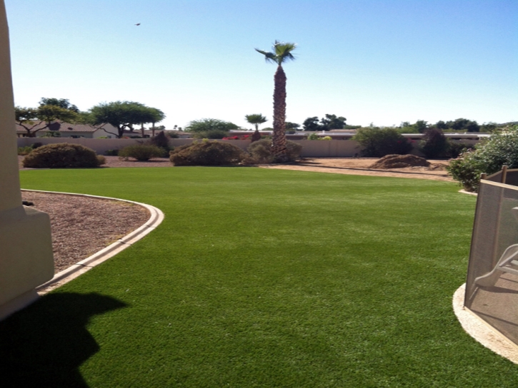 Synthetic Turf Supplier Bluffdale, Utah Garden Ideas, Backyard Ideas