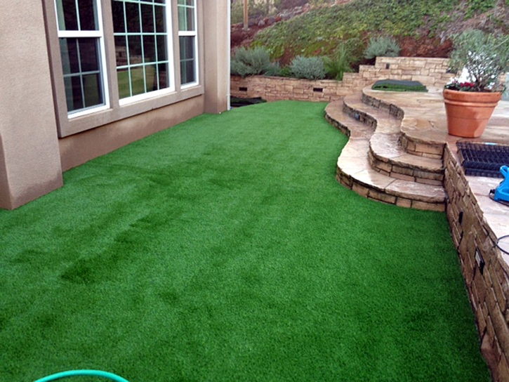 Synthetic Turf Supplier Ephraim, Utah Landscape Design, Backyard Landscape Ideas