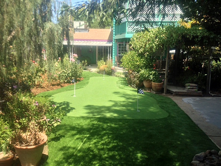 Synthetic Turf Supplier Orderville, Utah Landscape Ideas