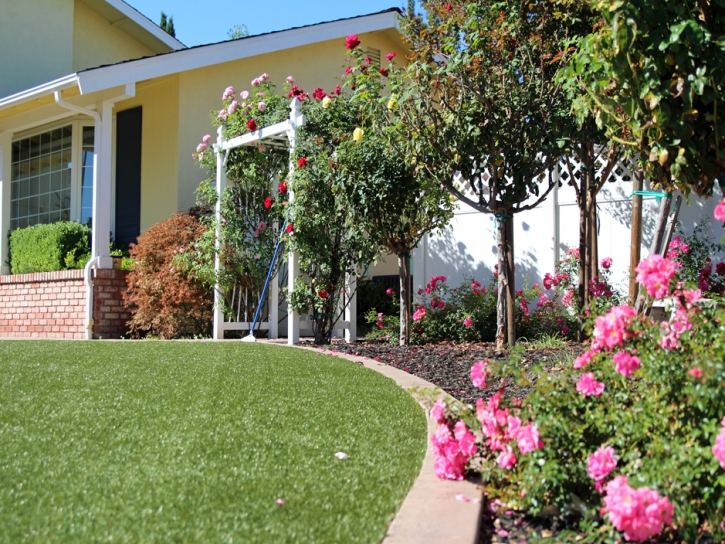 Synthetic Turf Supplier Salem, Utah Lawn And Garden, Front Yard Design