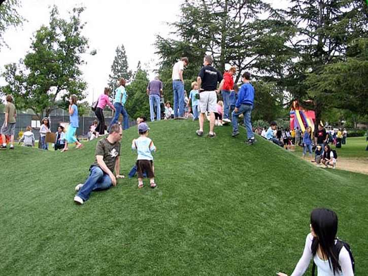 Synthetic Turf Supplier South Ogden, Utah Rooftop, Parks