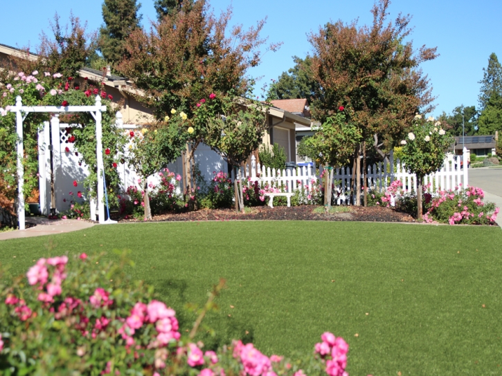 Turf Grass Henefer, Utah Paver Patio, Front Yard Design