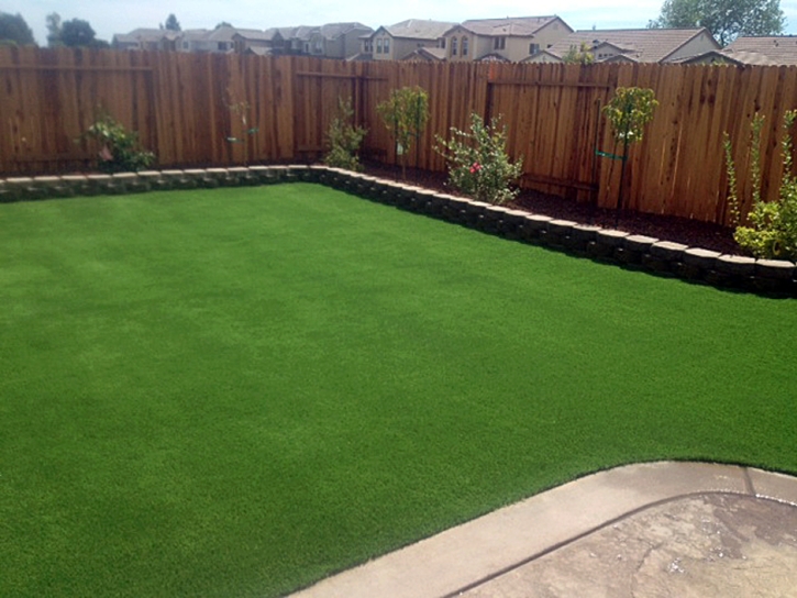 Turf Grass Oak City, Utah Landscaping Business, Backyards