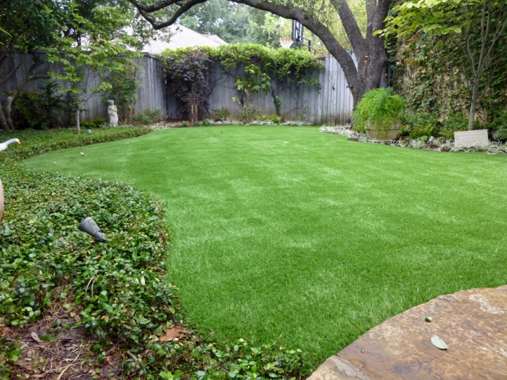 Turf Grass Palmyra, Utah Landscaping, Backyard Landscaping Ideas