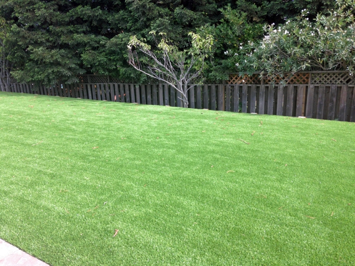 Turf Grass Willard, Utah Roof Top, Backyard Landscape Ideas